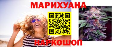 гидра Татарск