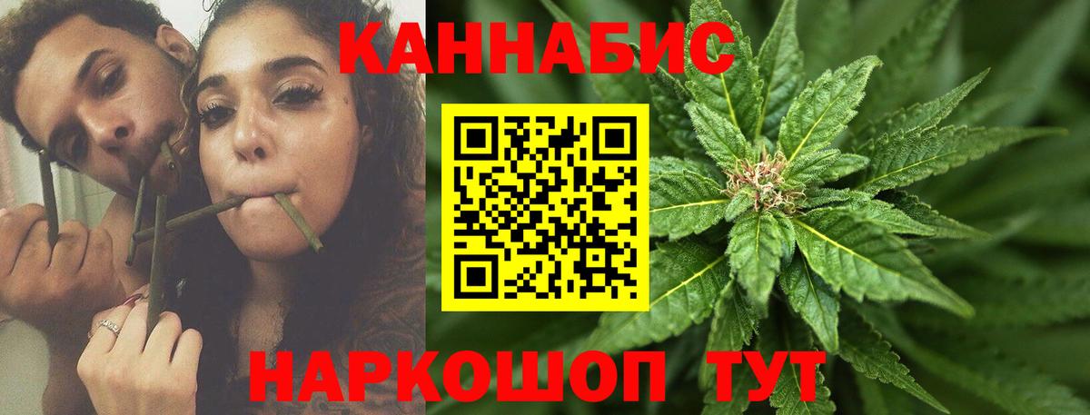 Бошки марихуана план Новый Уренгой